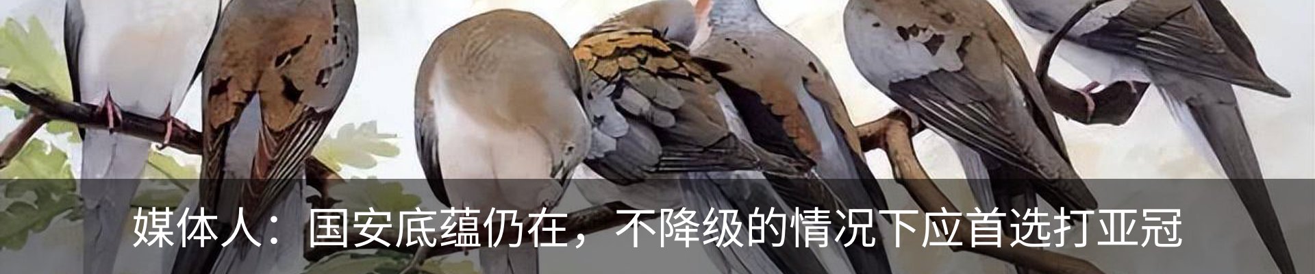 行业资讯